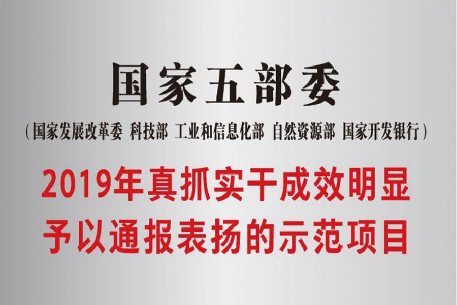 國家五部委2019年真抓實幹成效明顯予以通報表揚的示範項目